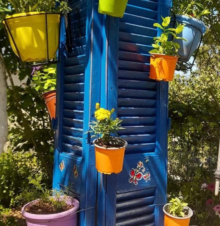 Ferienwohnung Το Σπίτι Της Ελένης Vlachia Exterior foto