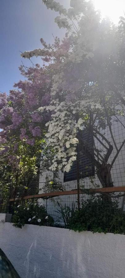 Ferienwohnung Το Σπίτι Της Ελένης Vlachia Exterior foto