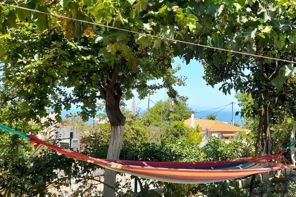 Ferienwohnung Το Σπίτι Της Ελένης Vlachia Exterior foto