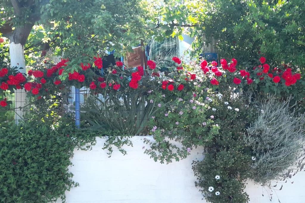 Ferienwohnung Το Σπίτι Της Ελένης Vlachia Exterior foto