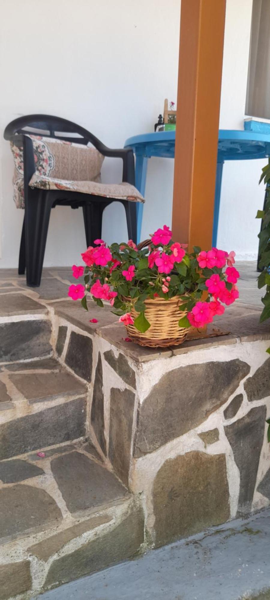 Ferienwohnung Το Σπίτι Της Ελένης Vlachia Exterior foto