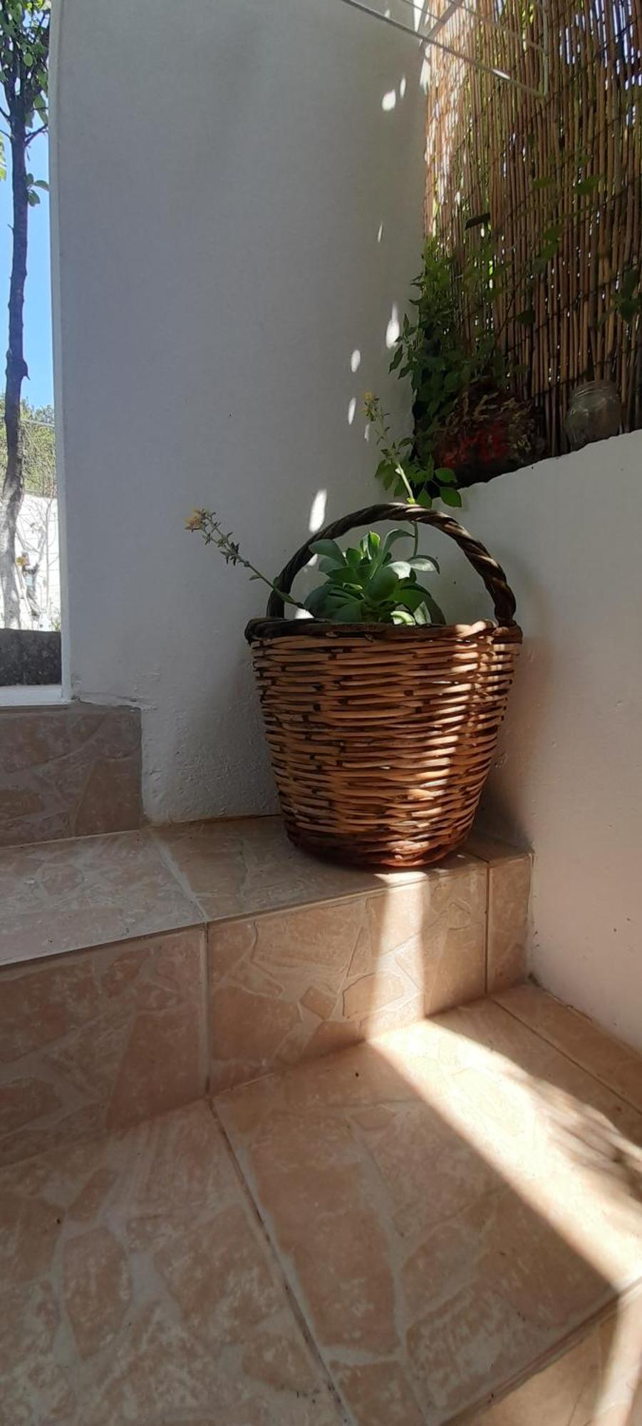Ferienwohnung Το Σπίτι Της Ελένης Vlachia Exterior foto