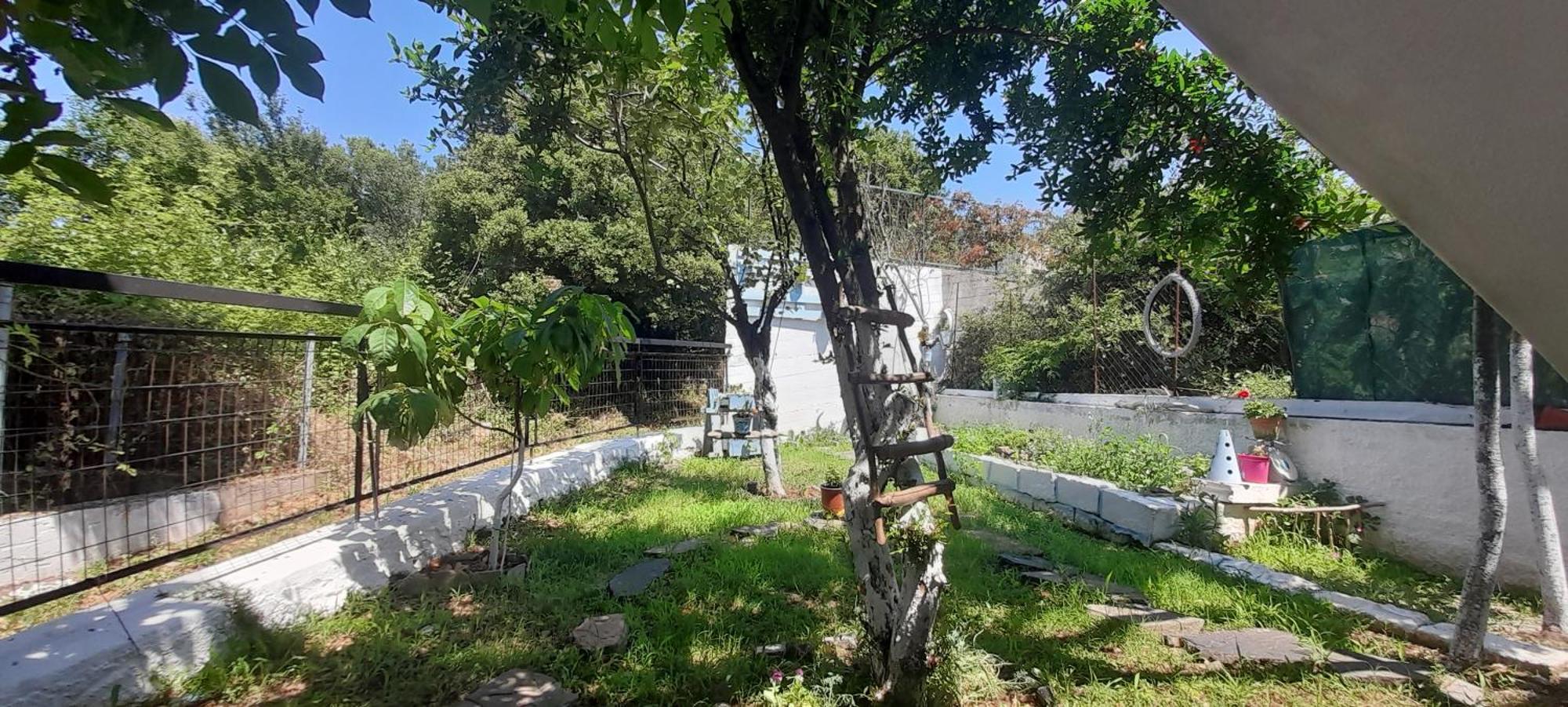 Ferienwohnung Το Σπίτι Της Ελένης Vlachia Exterior foto